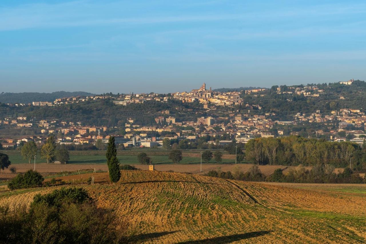 Podere Abbazia B&B Синалунга Екстериор снимка